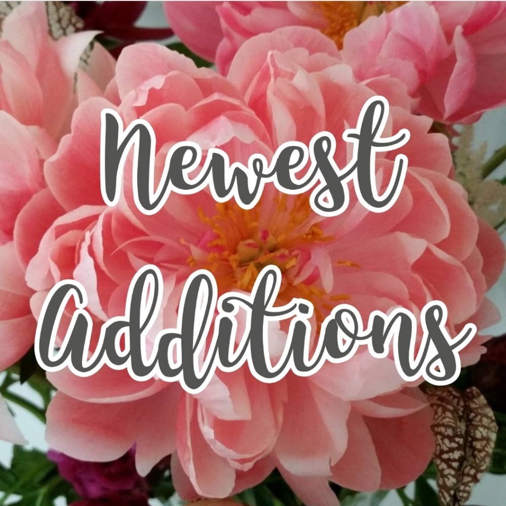 { Newest Additions }